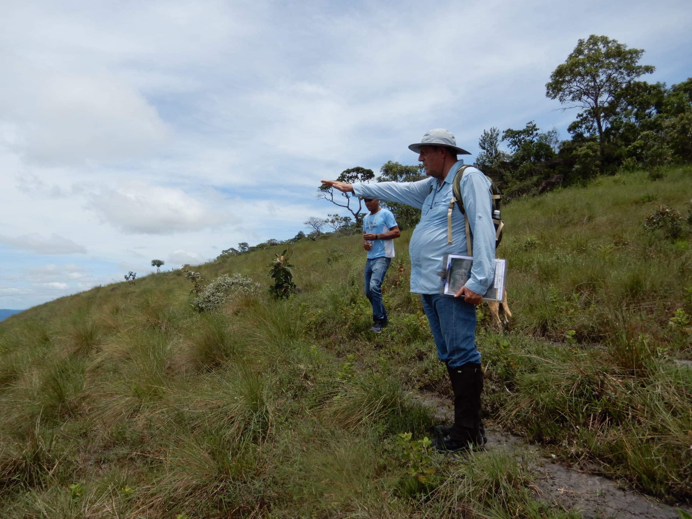 Consultoria Ambiental - Arvoredo Consultoria Ambiental